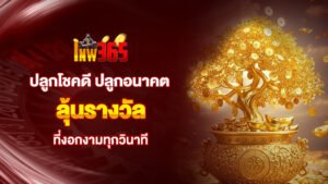 lnw365 ปลูกโชคดี ปลูกอนาคต ลุ้นรางวัลที่งอกงามทุกวินาที